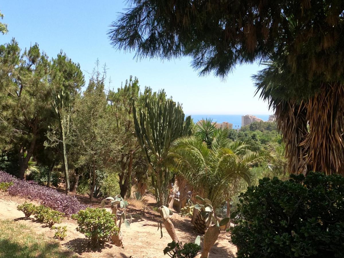 Agata Holiday بينالماذينا المظهر الخارجي الصورة